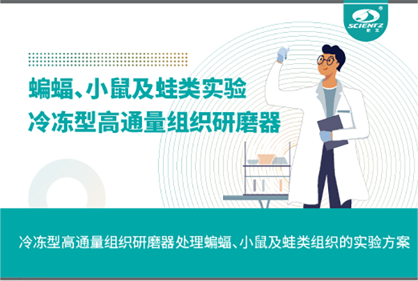 冷冻型高通量组织研磨器处理蝙蝠、小鼠及蛙类组织的实验方案