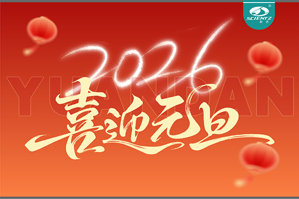 董事长周芳女士新年献词：心有定力，沐光而行