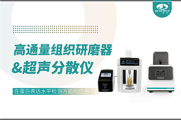 SCIENTZ-24和SCIENTZ-1500F在蛋白表达水平检测方面的应用