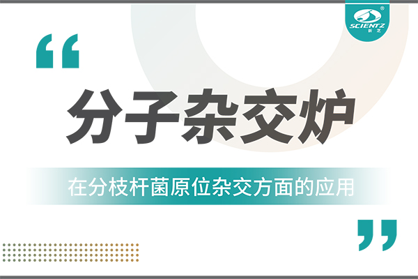 分子杂交炉在分枝杆菌原位杂交方面的应用
