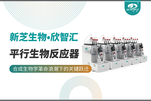 培养菌株和评估工艺参数影响太难太慢？平行生物反应器提供关键解决方案！