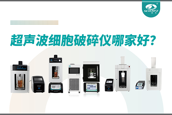 超声波破碎仪厂家推荐：深耕本土，服务全球-宁波OB视讯生物