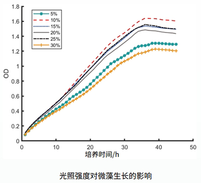 微藻在位培养检测